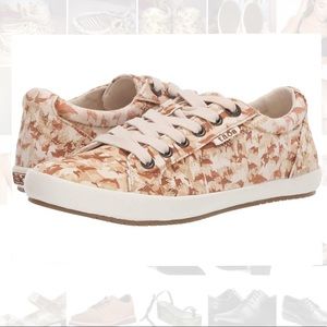 Taos NWOB!Star Desert Camo Print Footwear Sneakers
